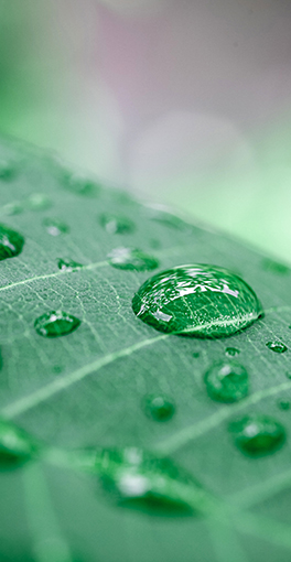Banner: Land hydrology