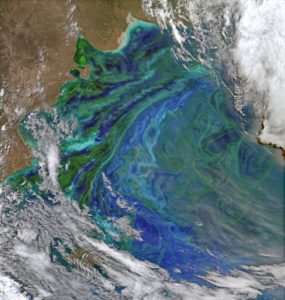 Plankton blooms highlighting swirling eddies off the Patagonian coast. NASA images