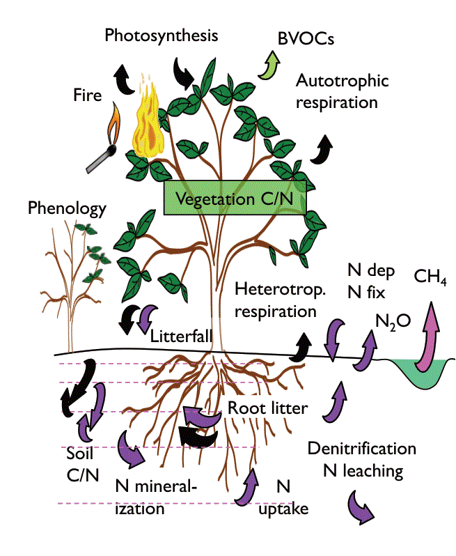 ncar-clm_biogeochem2_no-headers