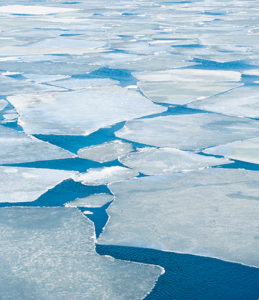 Banner: Ice sea