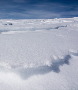 Banner: Ice snow