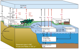 carbn-cycles-ipcc-ch7