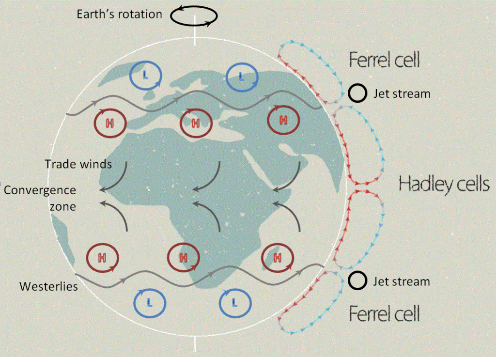 large-scale-circ-adapted