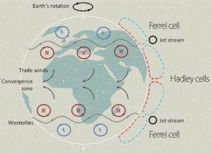 large-scale-circ-adapted