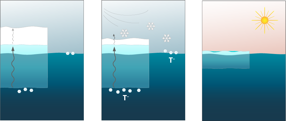 experiments_seaice_1-3_large